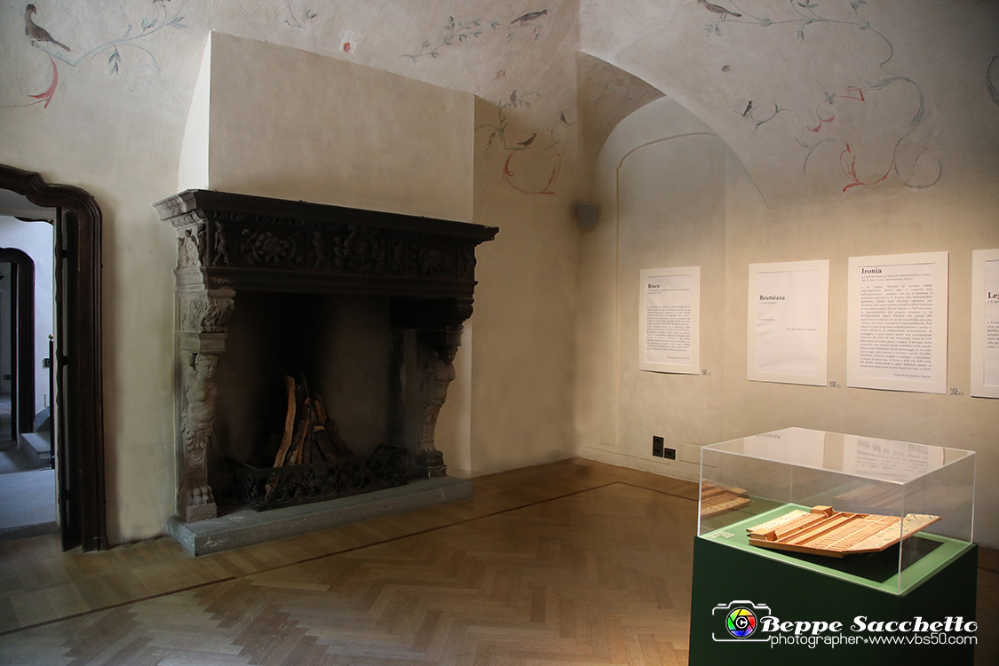 VBS_1169 - Castello di Miradolo - Mostra Oltre il giardino l'Abbecedario di paolo Pejrone.jpg